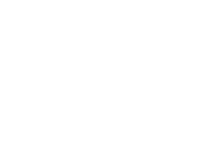 Visa logo
